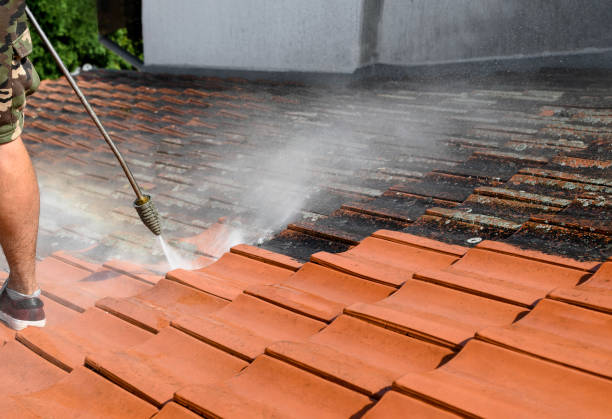 Best Deck Cleaning Services  in Belle Fourche, SD