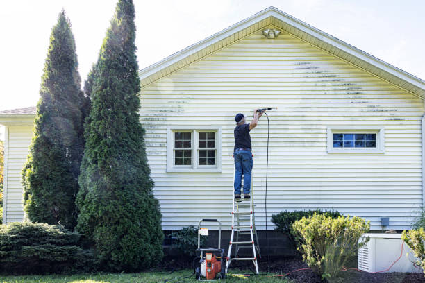 Best Local Pressure Washing Services  in Belle Fourche, SD